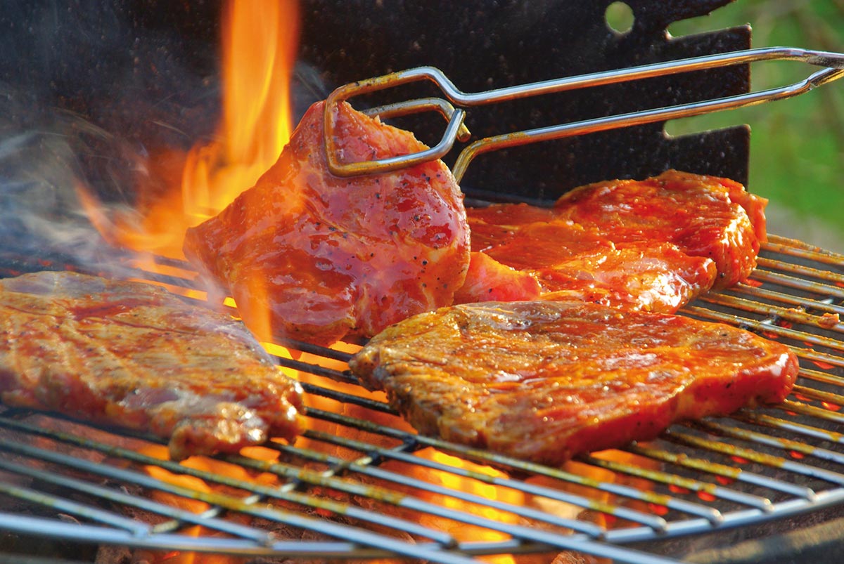 Gesund grillen, aber lecker! Sommerzeit ist Grillzeit!